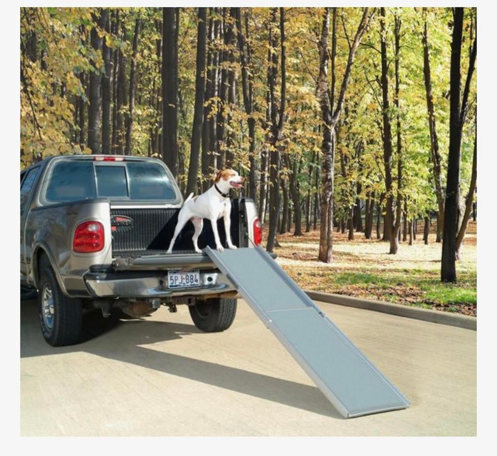 Pet safe oploopplank XL voor grotere hond, Ophalen, Gebruikt