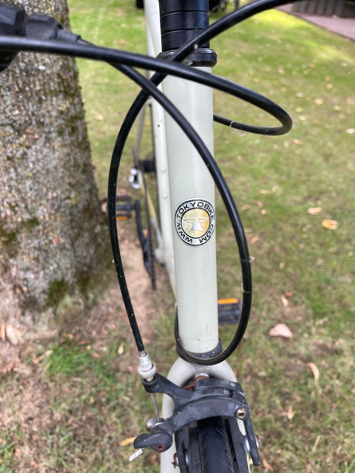 Tokyo Bike Sportfiets - Groen - Goede staat, Gebruikt, Velgrem, Ophalen, Overige merken