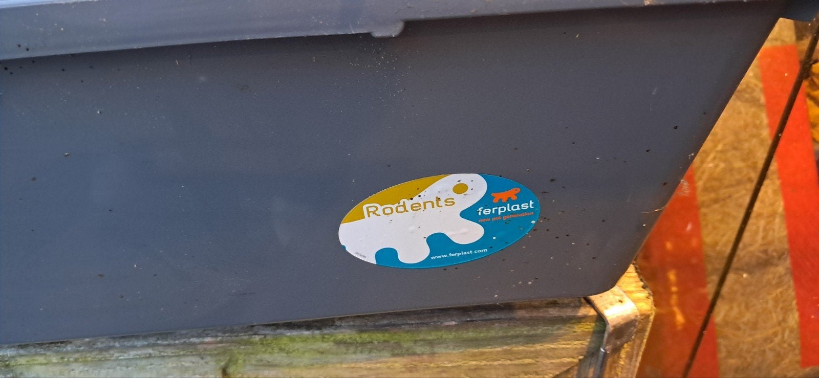 Compleet konijnenhok, Dieren en Toebehoren, Konijnen, Meerdere dieren