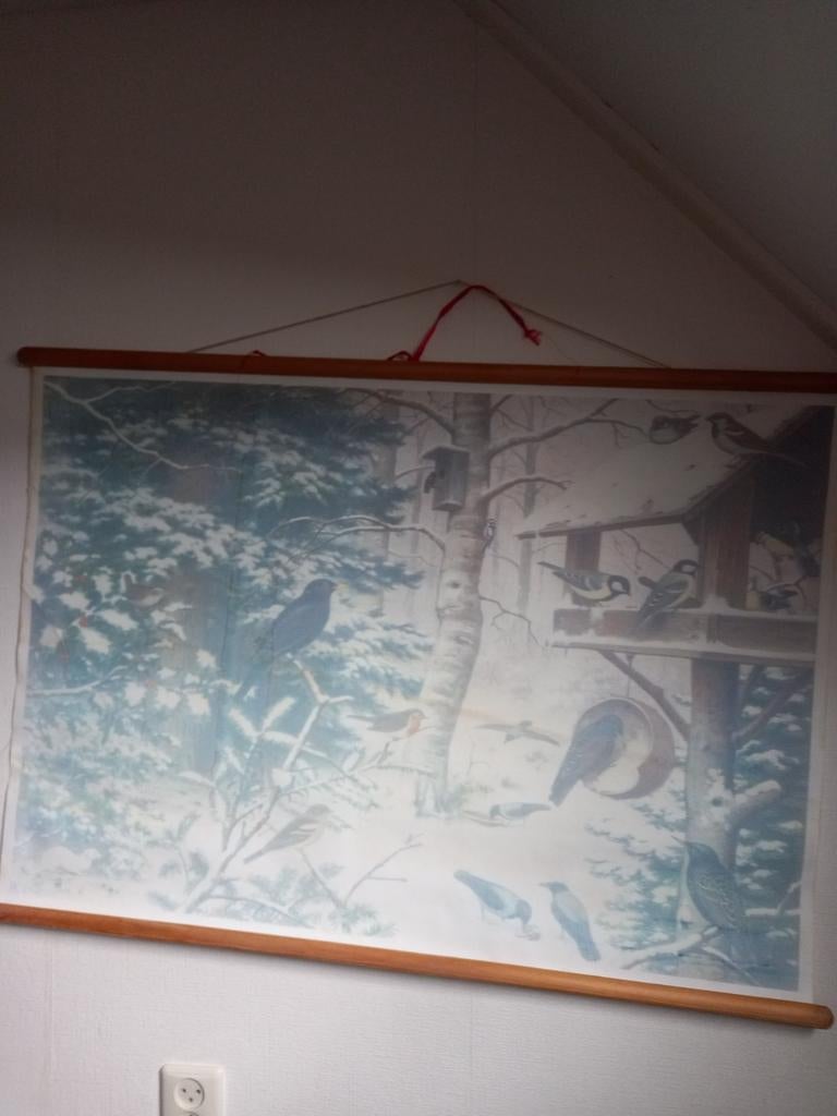 Winter vogel school kaart, Ophalen, Aardrijkskunde