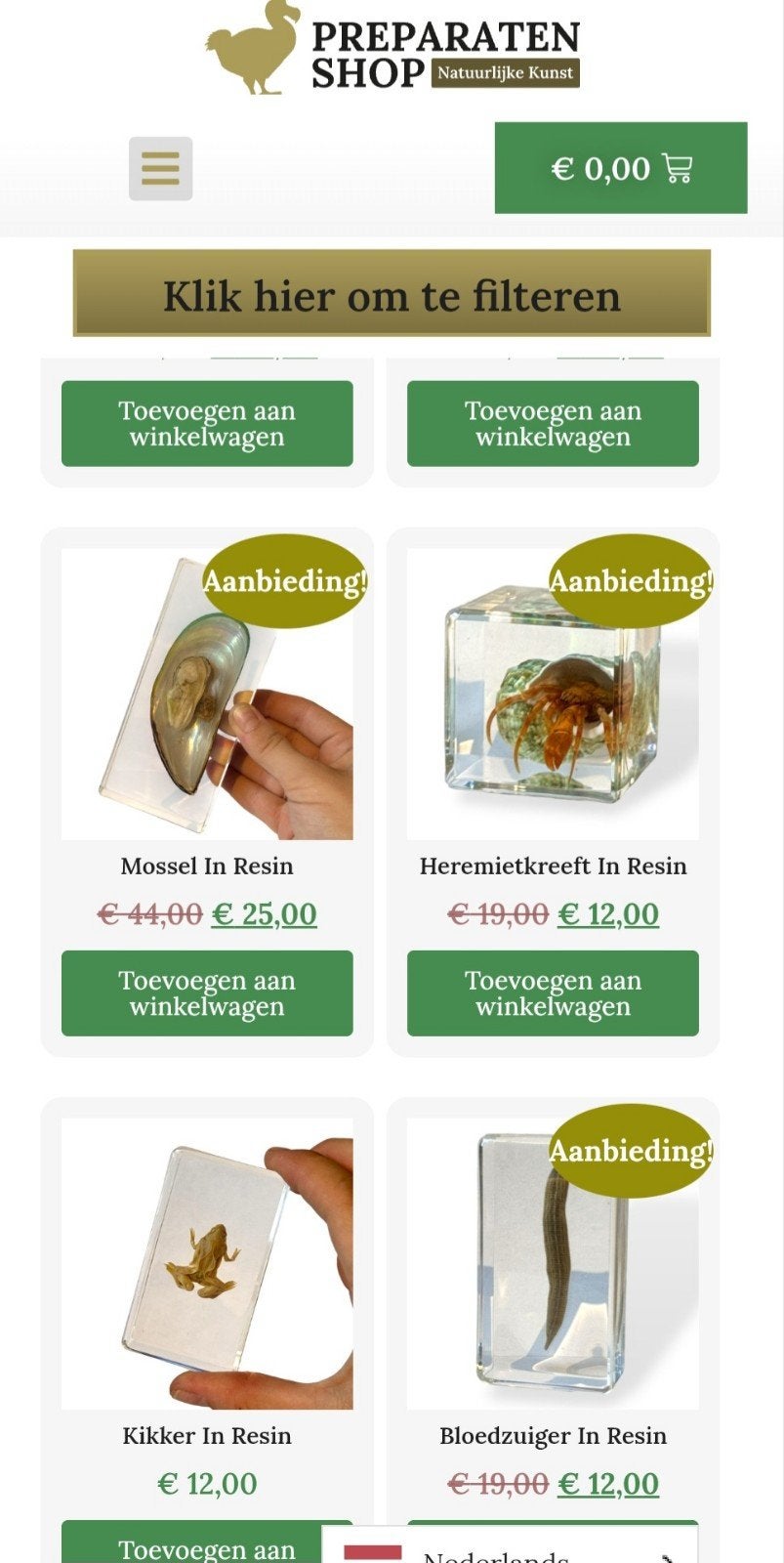 Webshop met veel opgezette insecten en dieren in giethars, Ophalen of Verzenden, Nieuw, Opgezet dier