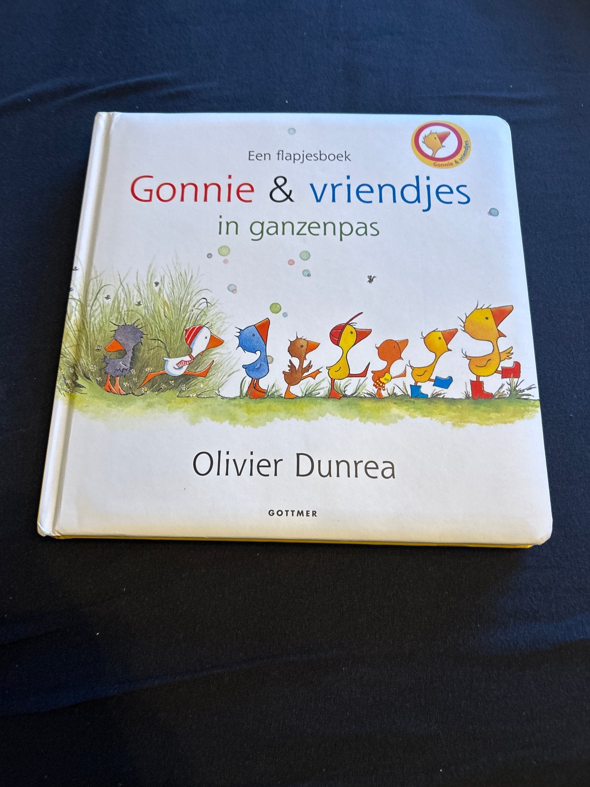 Gezellig flapjesboek: Gonnie & vriendjes in ganzenpas, Boeken, Kinderboeken | Baby's en Peuters, Ophalen of Verzenden, Zo goed als nieuw