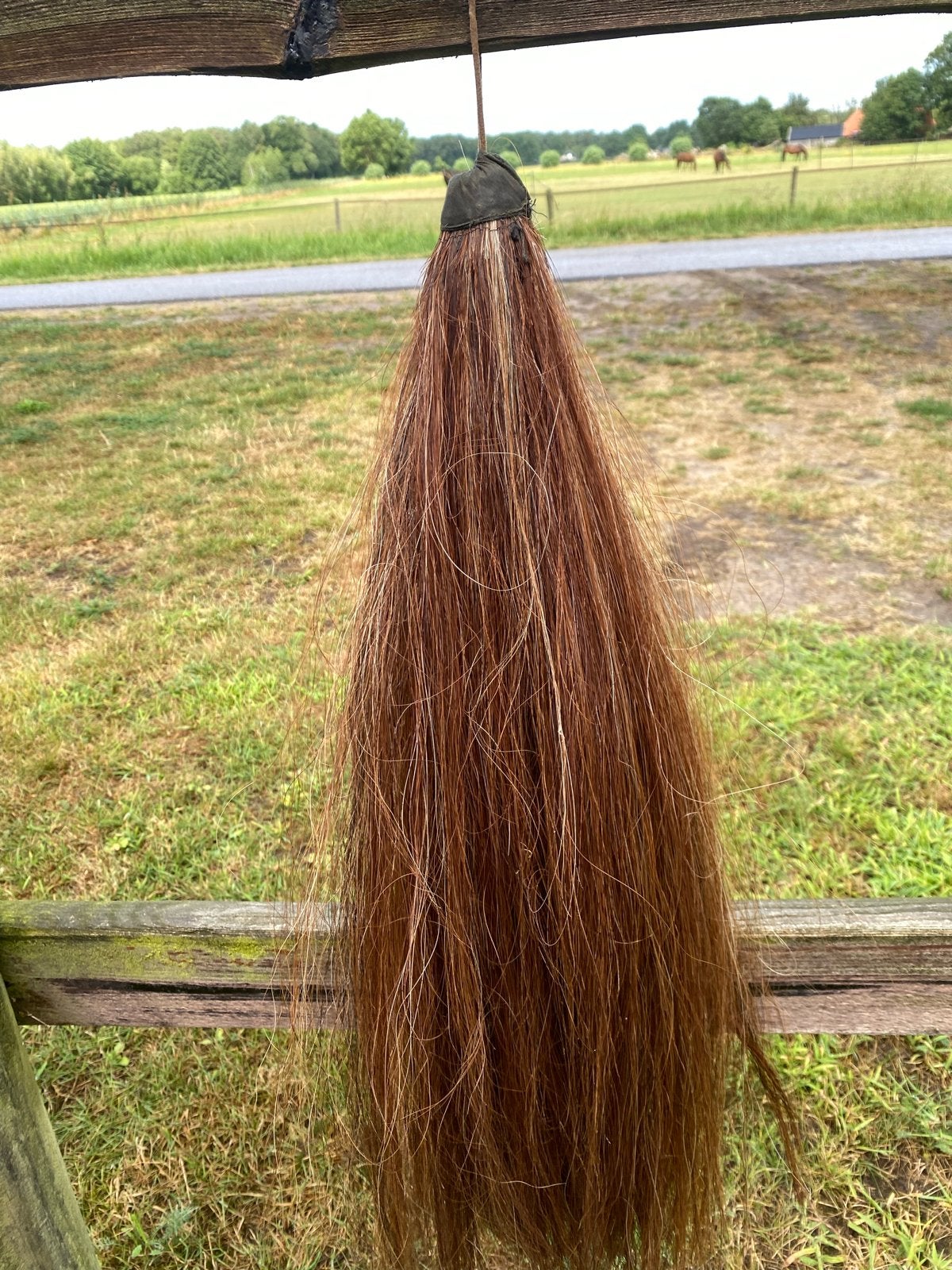 Inzetstaart paard/pony. 65cm lang. Echte paardenharen., Dieren en Toebehoren, Ophalen of Verzenden