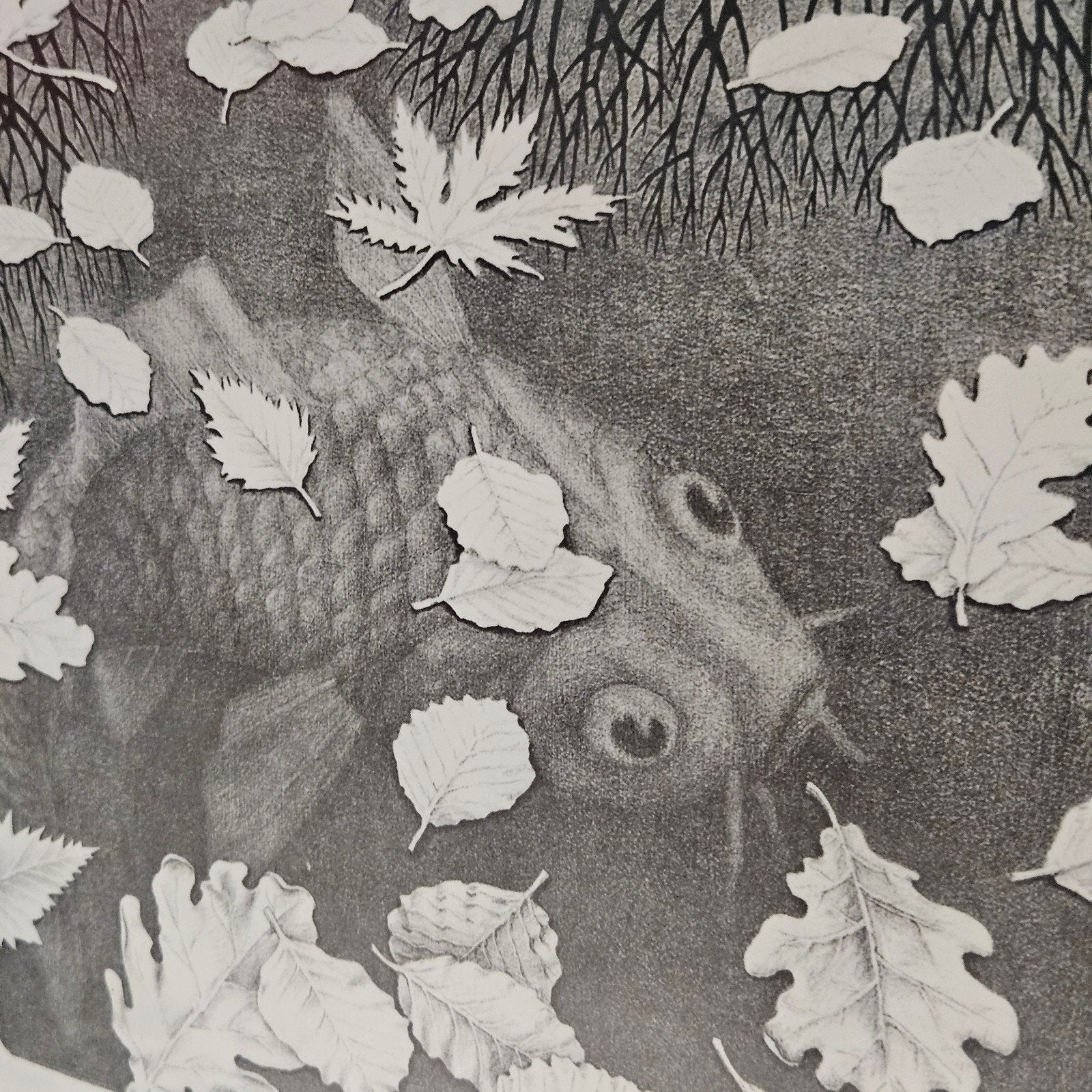 Zwart-wit prent in lijst - Escher-achtige stijl, Ophalen of Verzenden, Print, Prent, Ingelijst