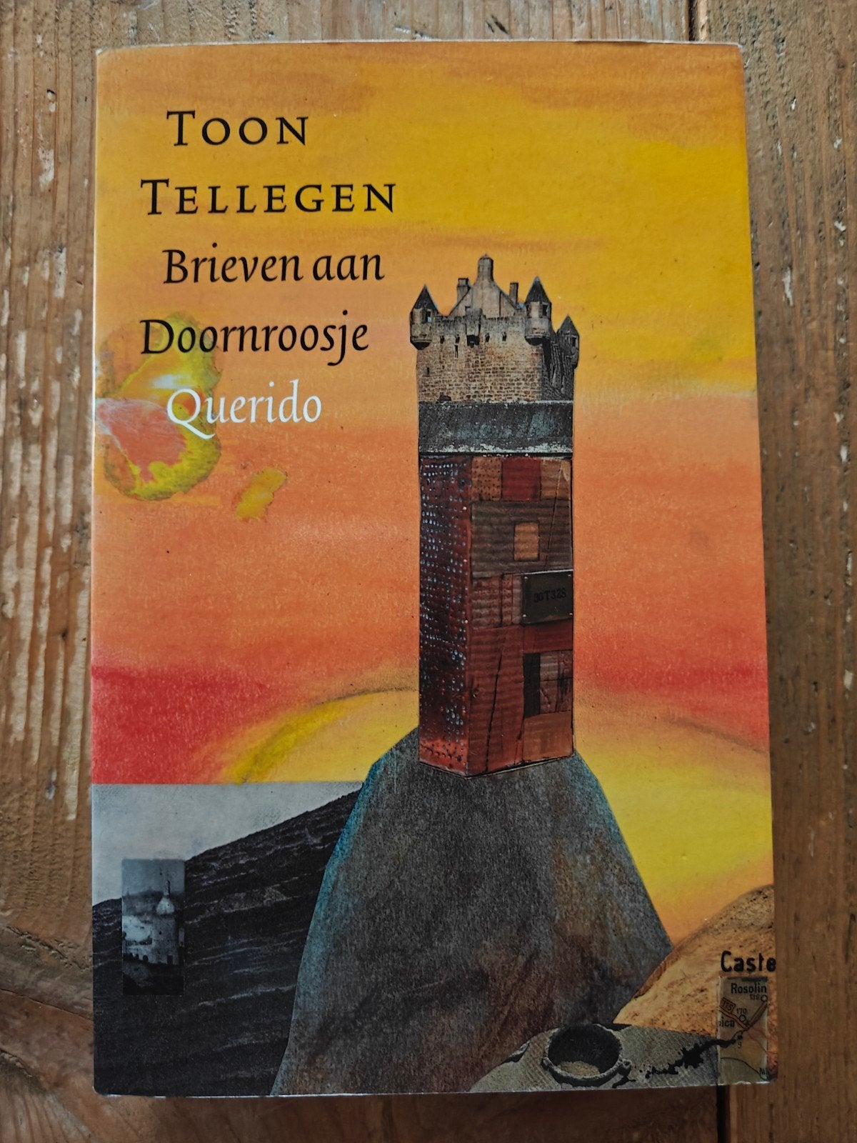 Brieven aan Doornroosje., Boeken, Overige Boeken, Ophalen of Verzenden