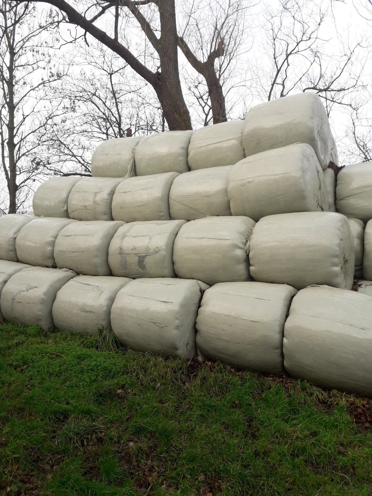 Ronde balen hooi kuilgras, Dieren en Toebehoren, Dierenvoeding, Ophalen of Verzenden, Vee