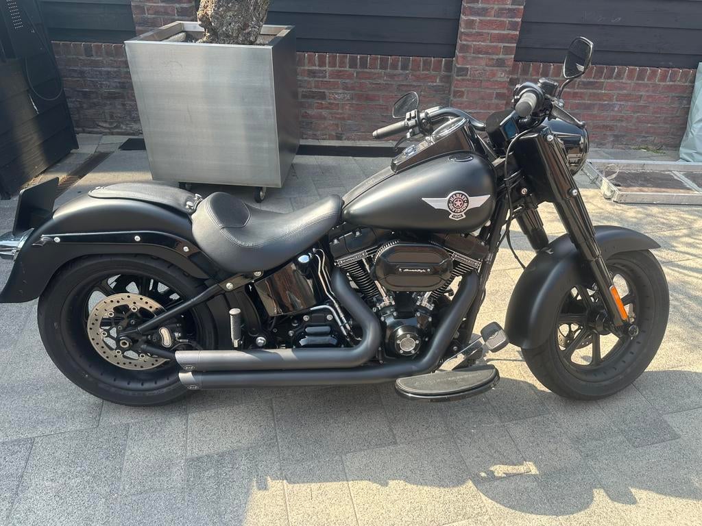 Harley davidson fatboy s screamin eagle, Particulier, Overig