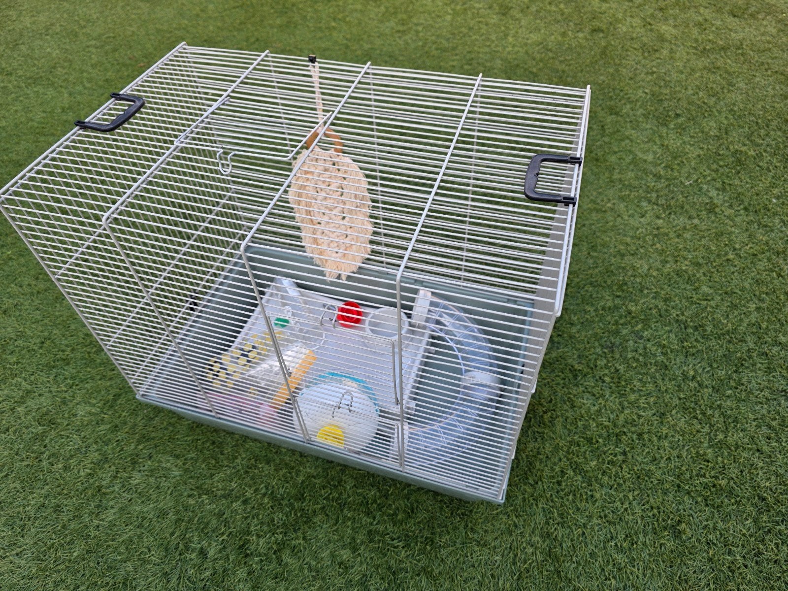 hamsterkooi, Minder dan 60 cm, Kooi, Minder dan 75 cm, Ophalen of Verzenden