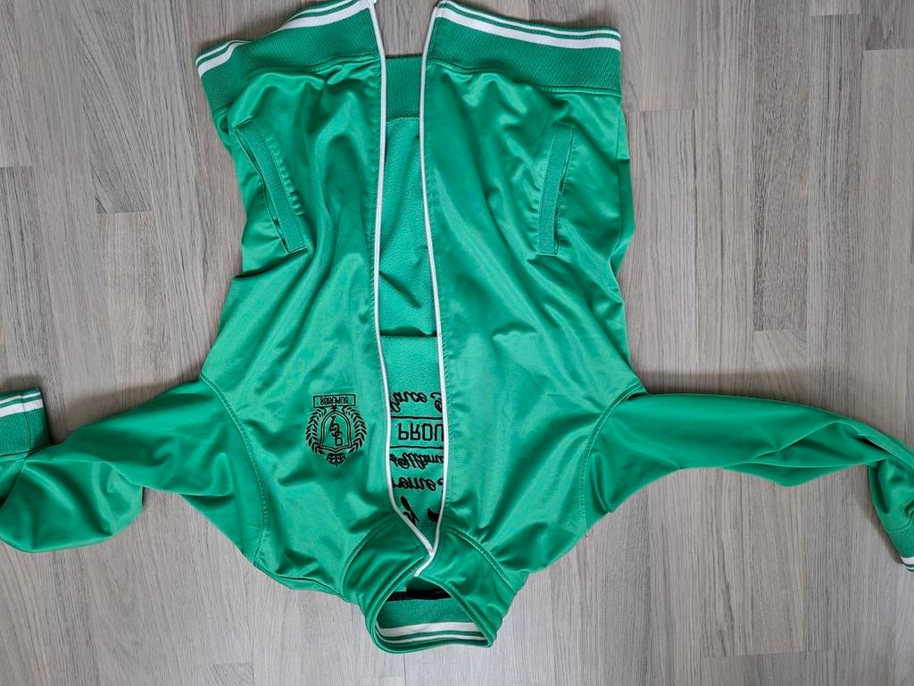 Coolcat vest Maat L - Groen met witte strepen, Kleding | Dames, Truien en Vesten, Maat 42/44 (L), Ophalen of Verzenden, Coolcat