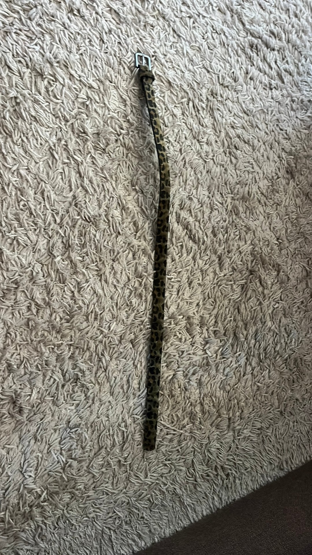 Panterprint riem, Kleding | Heren, Ophalen, Overige kleuren, Echt leder, Minder dan 95 cm