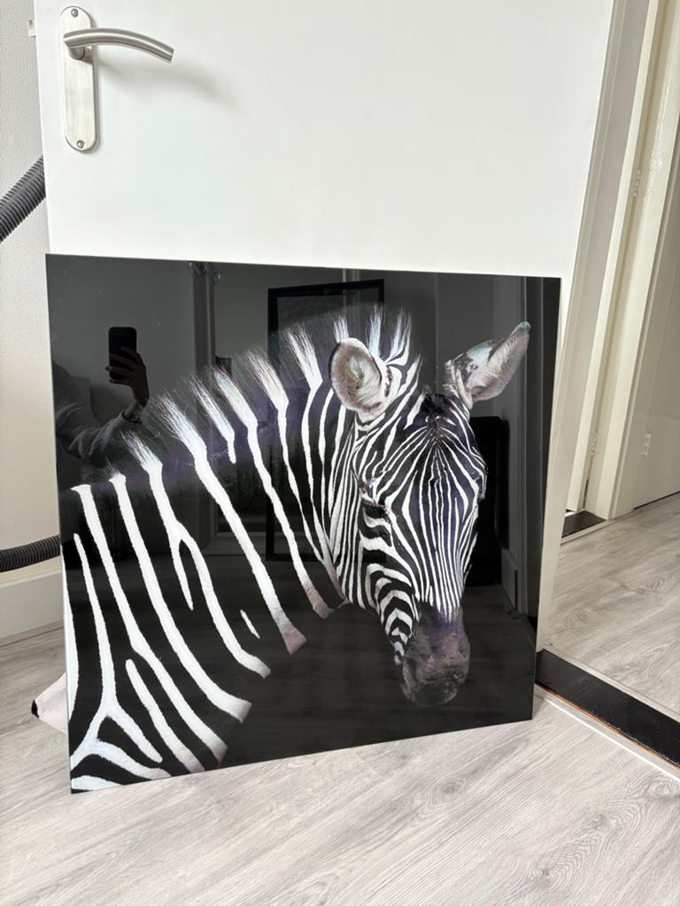 Glazen schilderij zebra 80x80 cm, Huis en Inrichting, Woonaccessoires | Schilderijen, Tekeningen en Foto's, Ophalen, Zo goed als nieuw
