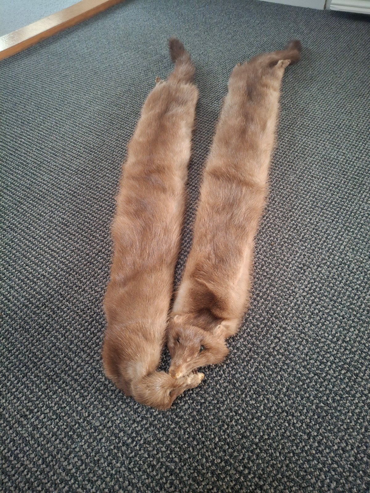 Vintage nertsen stola / bontkraag, Onbekend, Ophalen of Verzenden, Gedragen