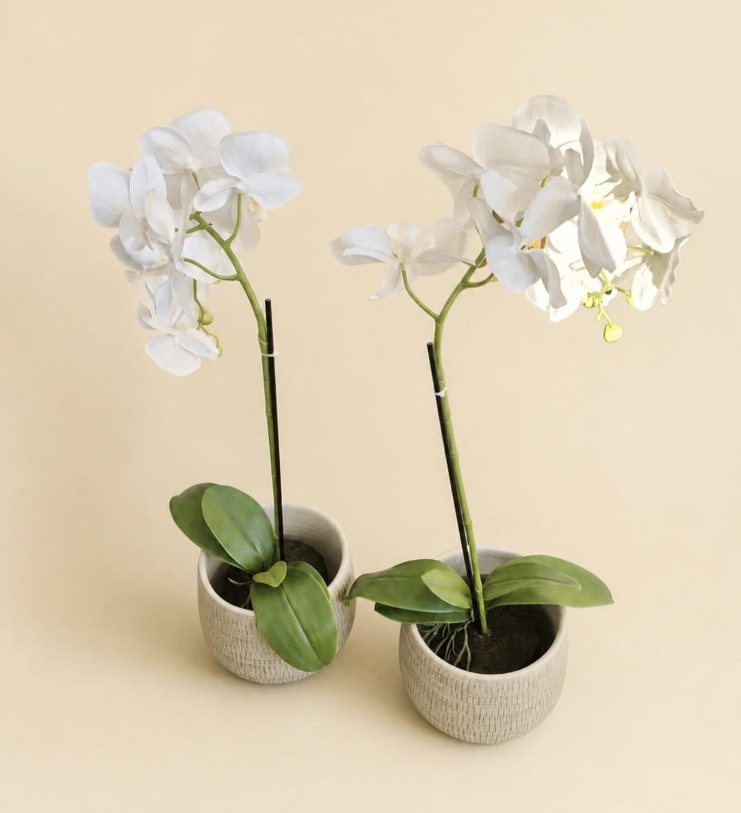 kunst orchideeën met pot 2 stuks, Ophalen of Verzenden
