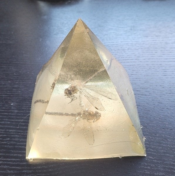 Hars piramide met ingelegde libellen, Ophalen of Verzenden