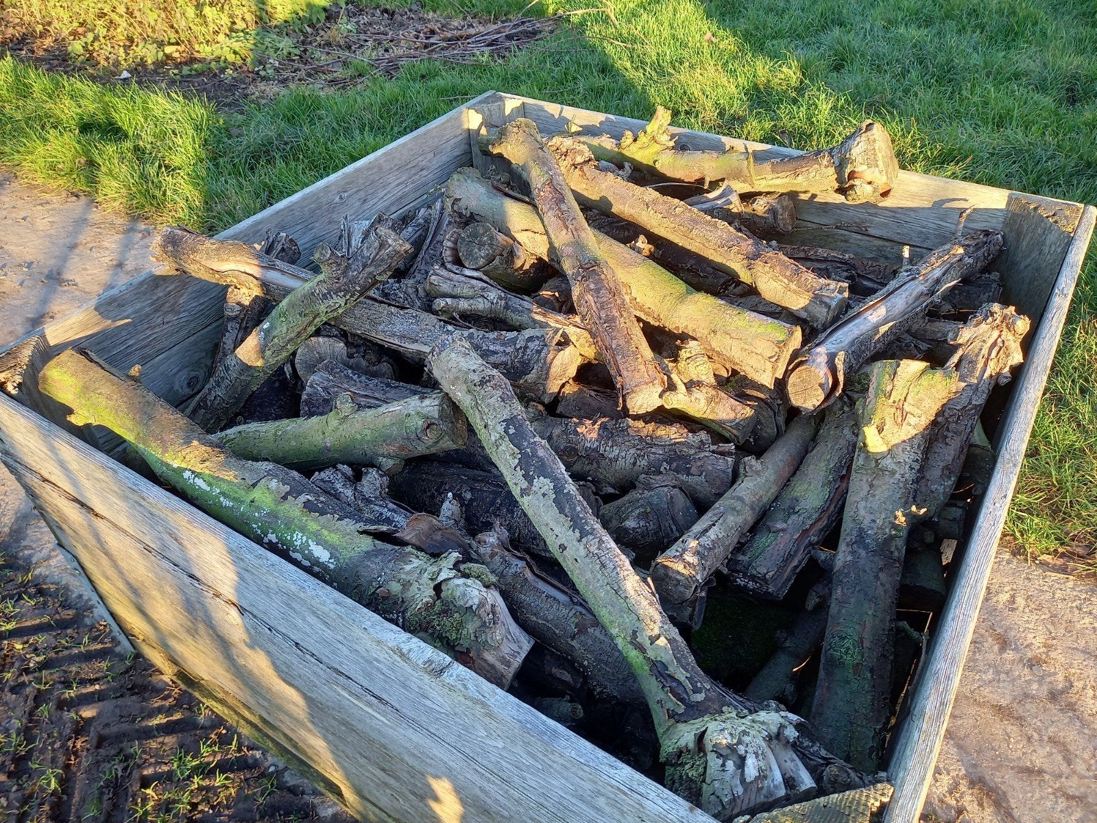 Appelhout, fruitbomenhoutvoor brandhout, stookhout, kachelho, Minder dan 3 m³, Ophalen, Overige houtsoorten, Takken