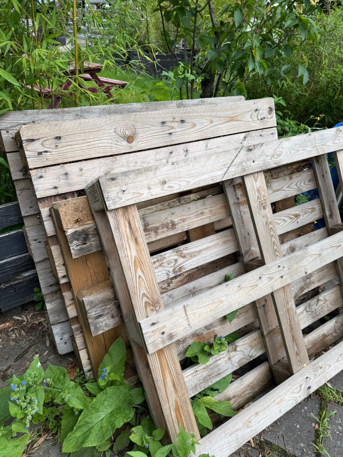 Pallets hout GRATIS, Ophalen, 50 mm of meer, Pallet, Minder dan 200 cm
