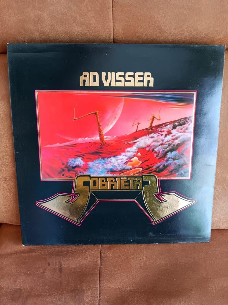 Ad visser lp vinyl nieuwstaat, Ophalen of Verzenden, Zo goed als nieuw, 12 inch, Poprock
