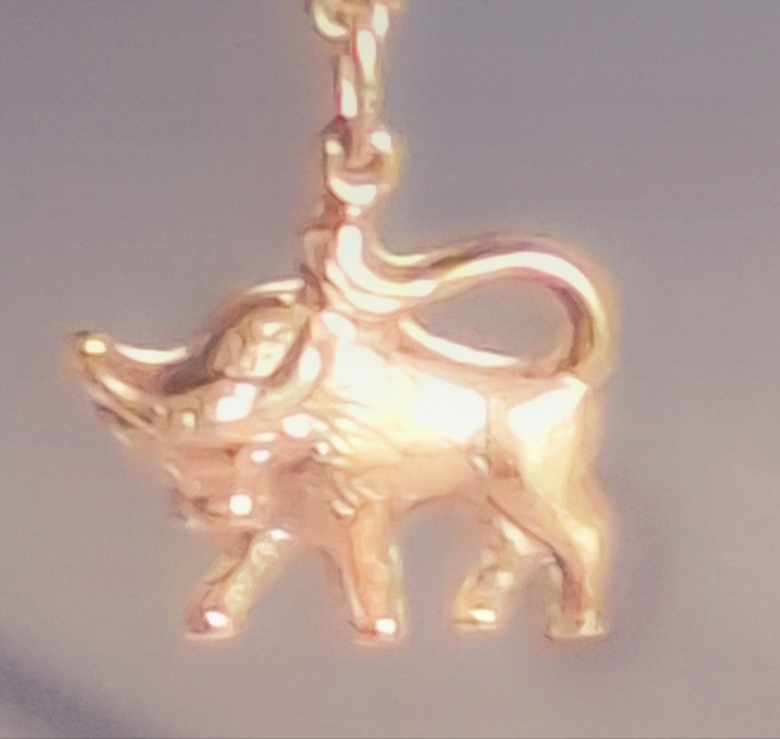 14 Karaat Gouden Stier Hanger - 1.6 gram, Ophalen of Verzenden, Goud, Hanger