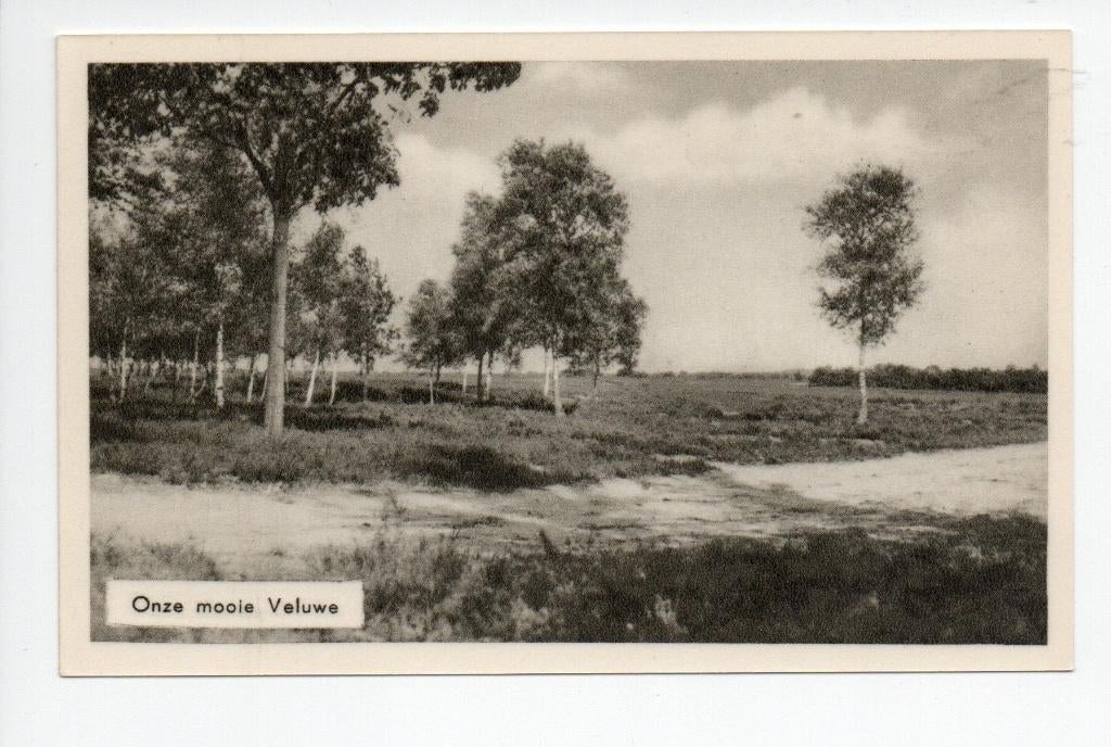 Onze mooie Veluwe.  **, Verzenden, 1940 tot 1960, Ongelopen, Gelderland