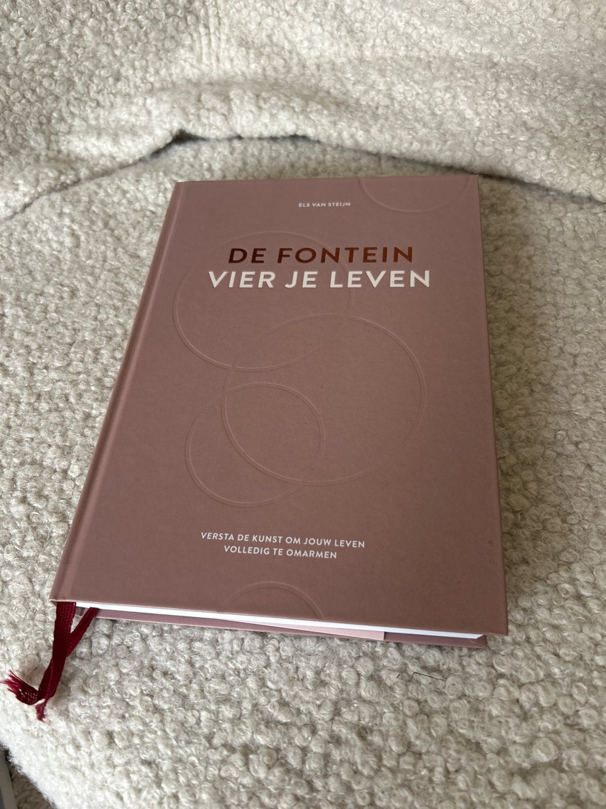 De Fontein Vier Je Leven - Els van Steijn, Ophalen of Verzenden, Zo goed als nieuw, Nederland