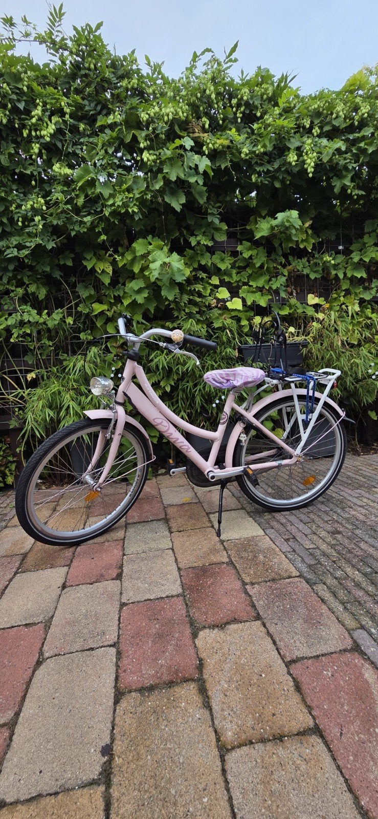 Meisjesfiets 24 inch - Roze, Fietsen en Brommers, Ophalen, Terugtraprem, Onbekend, Handrem