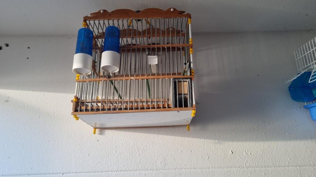 Te koop mooie parva kooien, Ophalen