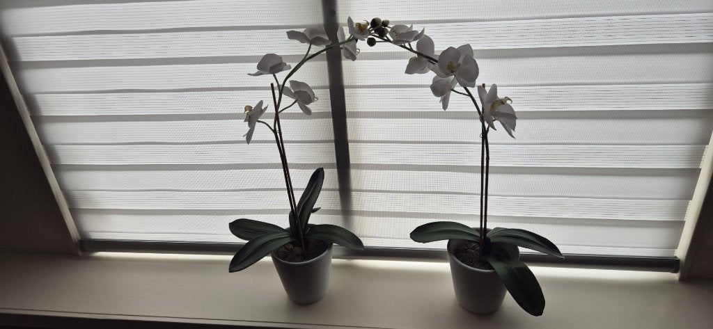 Kunstbloemen orchidee, Binnen, Kunstbloem, Ophalen of Verzenden, Overige merken