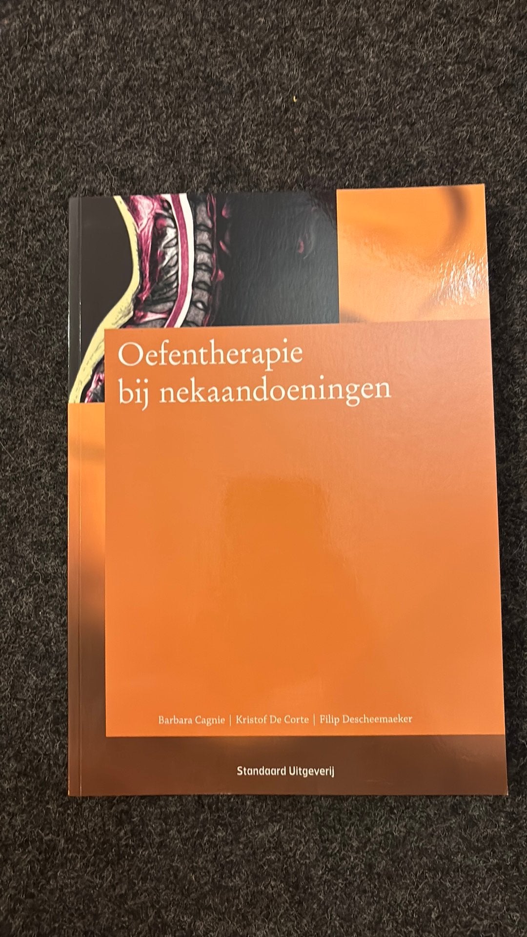 Oefentherapie bij nekaandoeningen – Fysiotherapie, Boeken, Ophalen of Verzenden, Beta, Zo goed als nieuw, HBO
