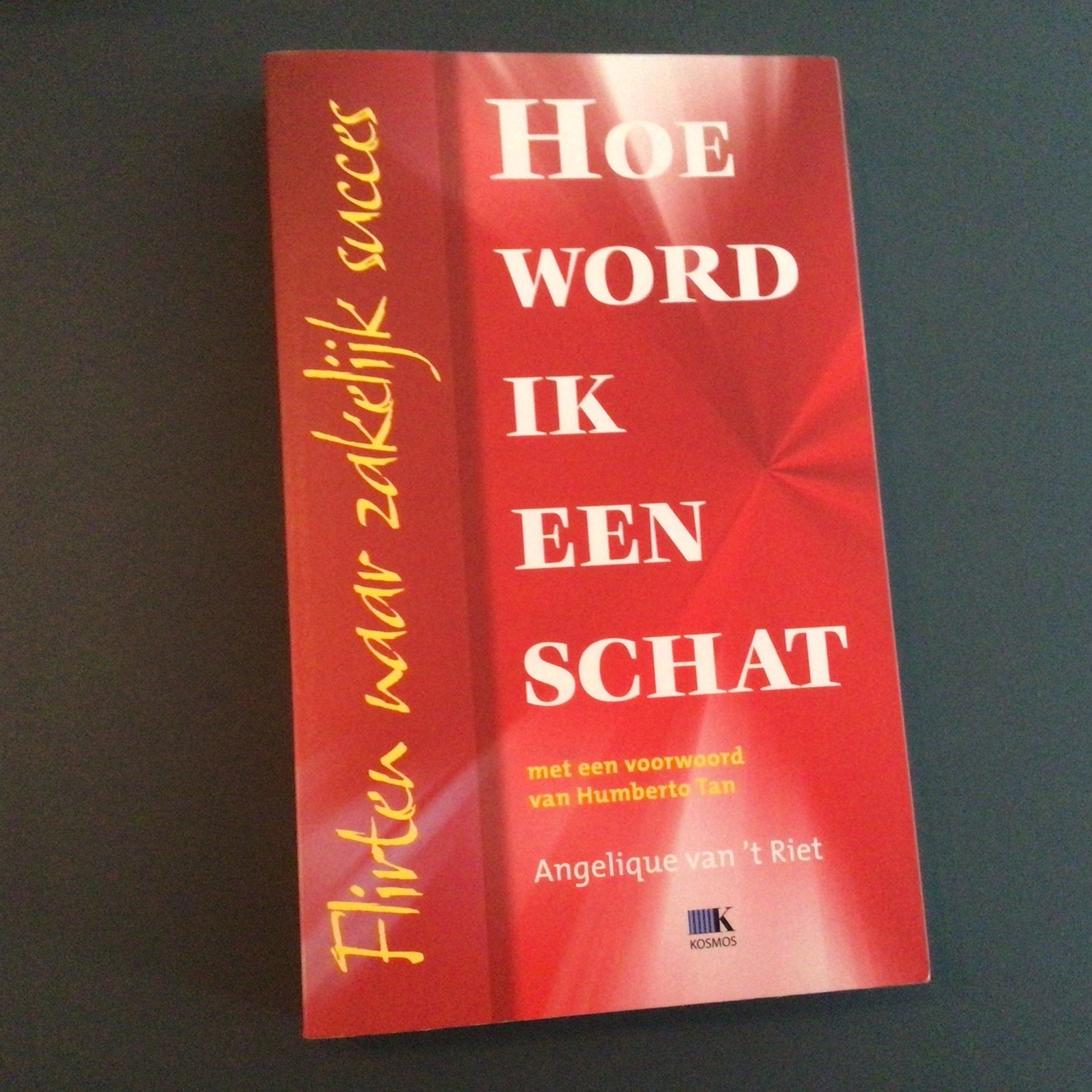 Angelique van 't Riet - Hoe word ik een schat, Angelique van 't Riet, Ophalen of Verzenden, Management, Zo goed als nieuw