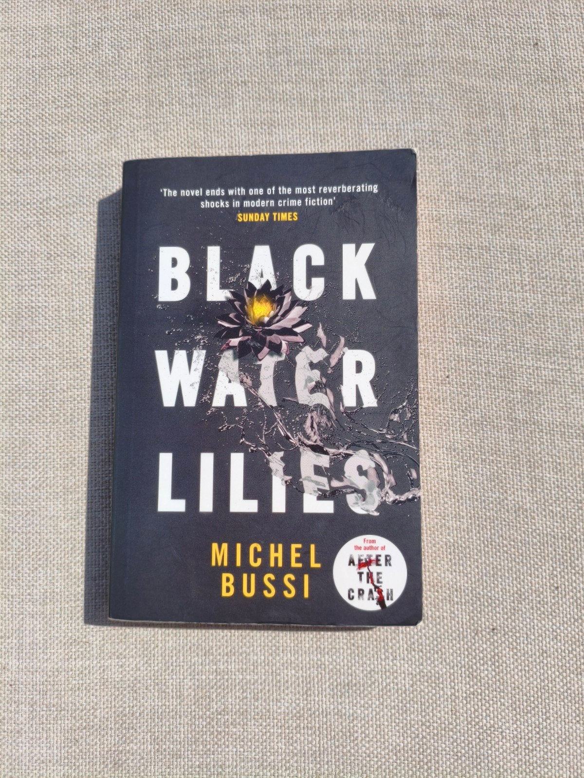 Black Water Lilies - Michel Bussi (Thriller), Ophalen of Verzenden, Gelezen, Michel Bussi