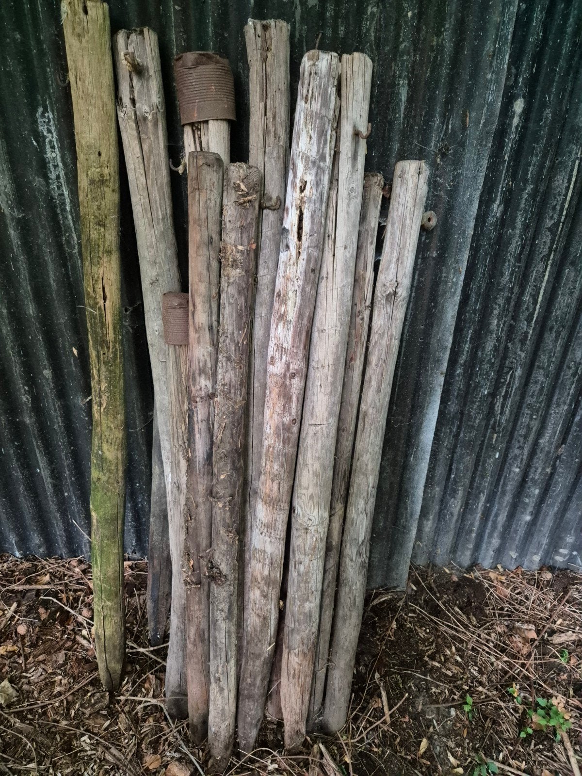 Palen weide palen, Ophalen, Minder dan 180 cm, Palen