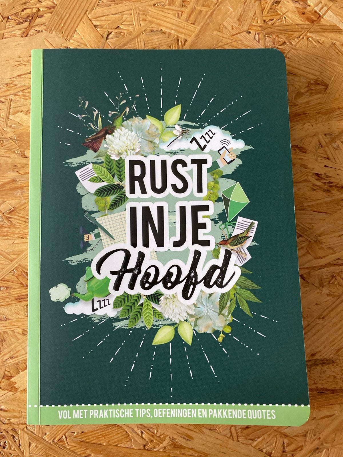 Rust in je Hoofd - Praktische tips en oefeningen, Boeken, Ophalen of Verzenden, Zo goed als nieuw