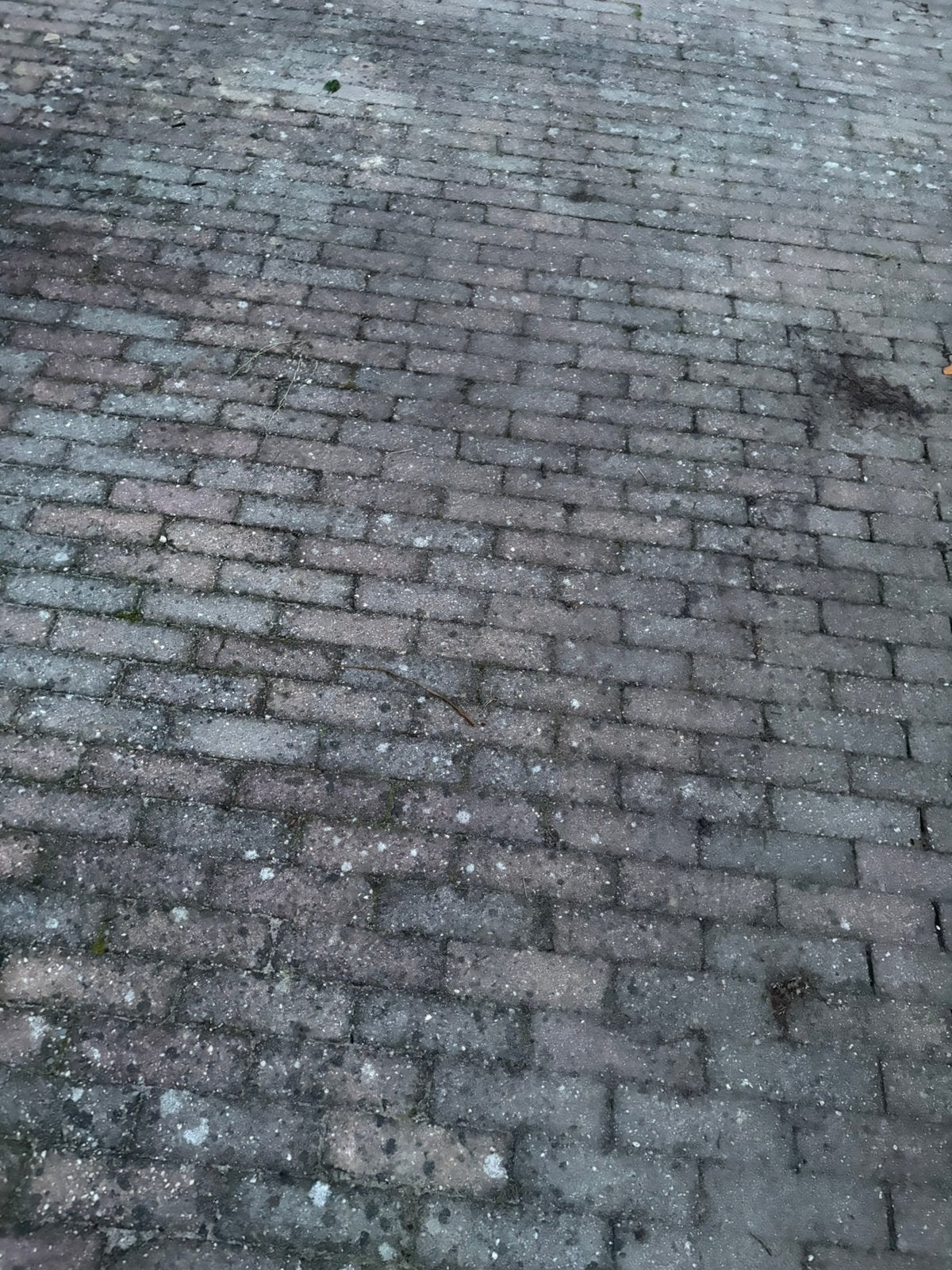 Gratis betonklinkers, Ophalen, Gebruikt, Klinkers, 10 m² of meer
