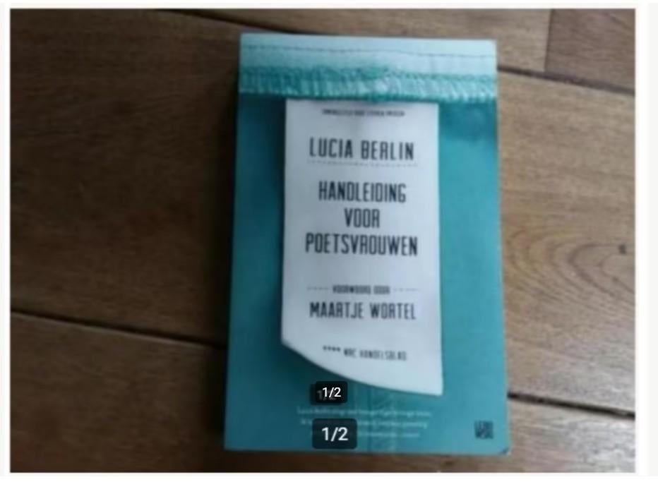 Lucia Berlin, Handleiding voor poetsvrouwen, Boeken, Ophalen of Verzenden, Zo goed als nieuw, Spiritualiteit algemeen, Overige typen