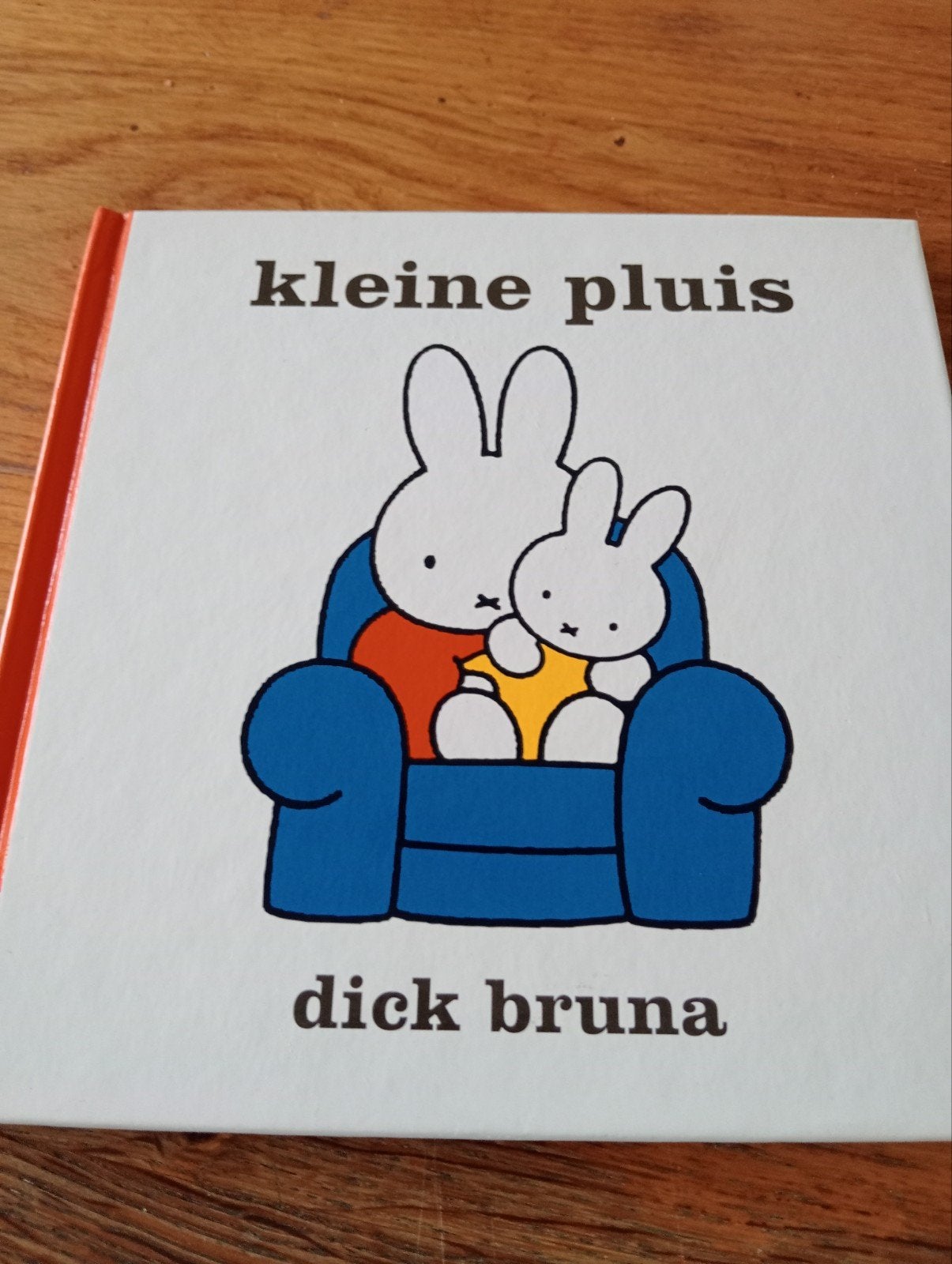 Nijntje boek: Kleine Pluis - Dick Bruna, Boeken, Fictie algemeen, Jongen of Meisje, Ophalen of Verzenden, Zo goed als nieuw