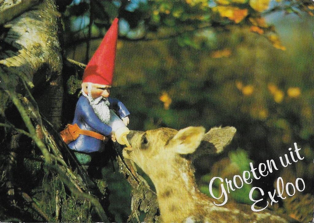 Ch281 gelopen ansichtkaart kabouterland exloo, Ophalen of Verzenden, 1980 tot heden, Ongelopen