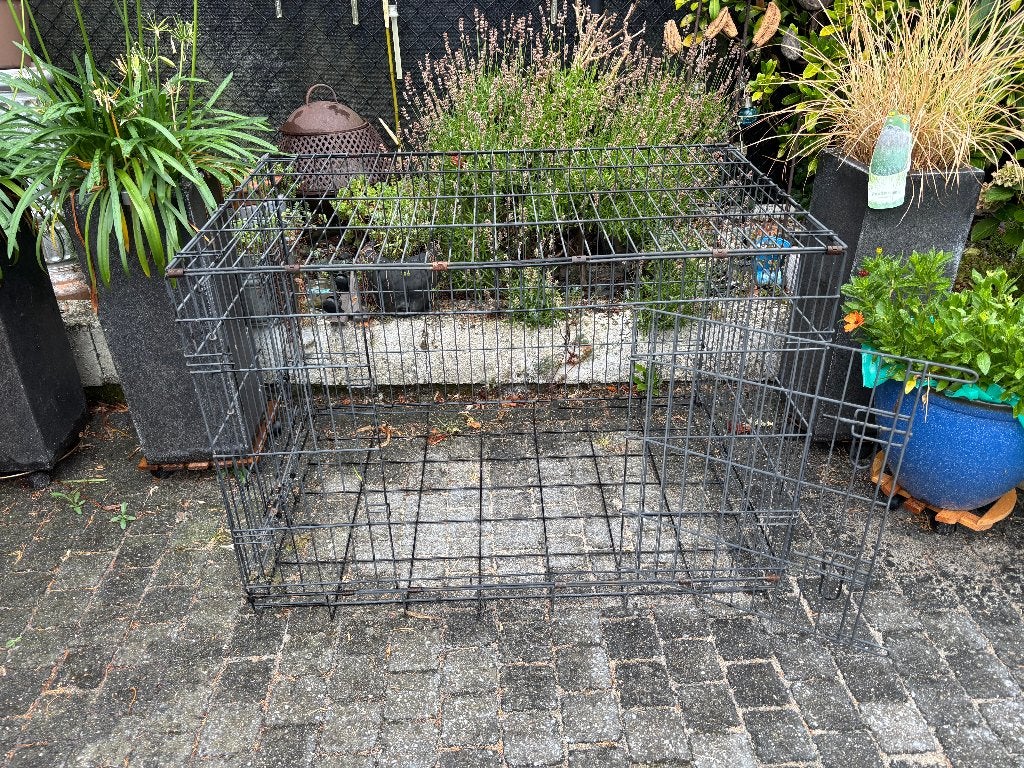 Bench, Dieren en Toebehoren, Ophalen, 65 tot 100 cm, Hondenhok, Zo goed als nieuw