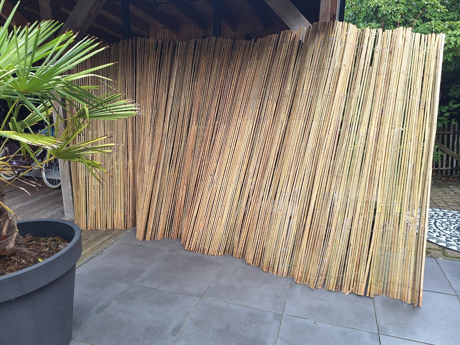 schutting tuin scherm bamboe, Tuin en Terras, Ophalen, Overige materialen, 200 cm of meer, 150 tot 200 cm