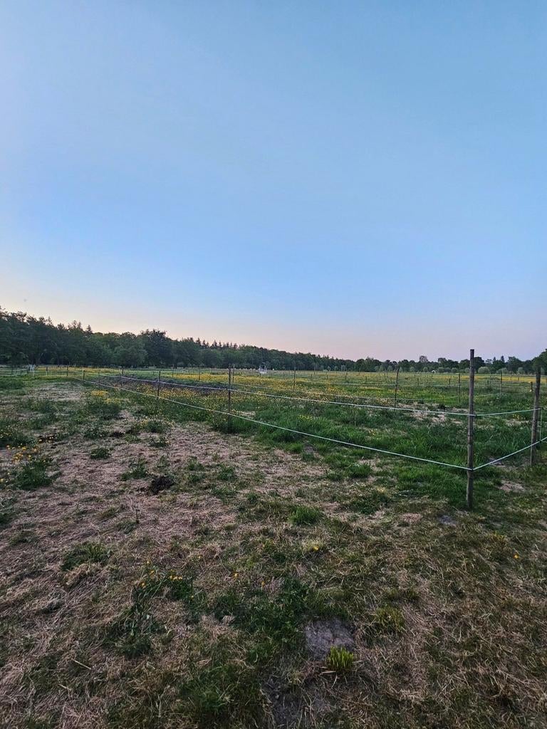 Gezocht: Mesthulp/handyman of vrouw bij onze paarden, Dieren en Toebehoren, Stalling en Weidegang