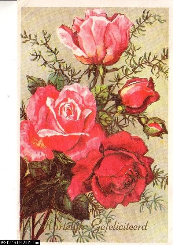 Ansichtkaart 	Hartelijk Gefeliciteerd	Rozen, Verzenden, 1960 tot 1980, Gelopen