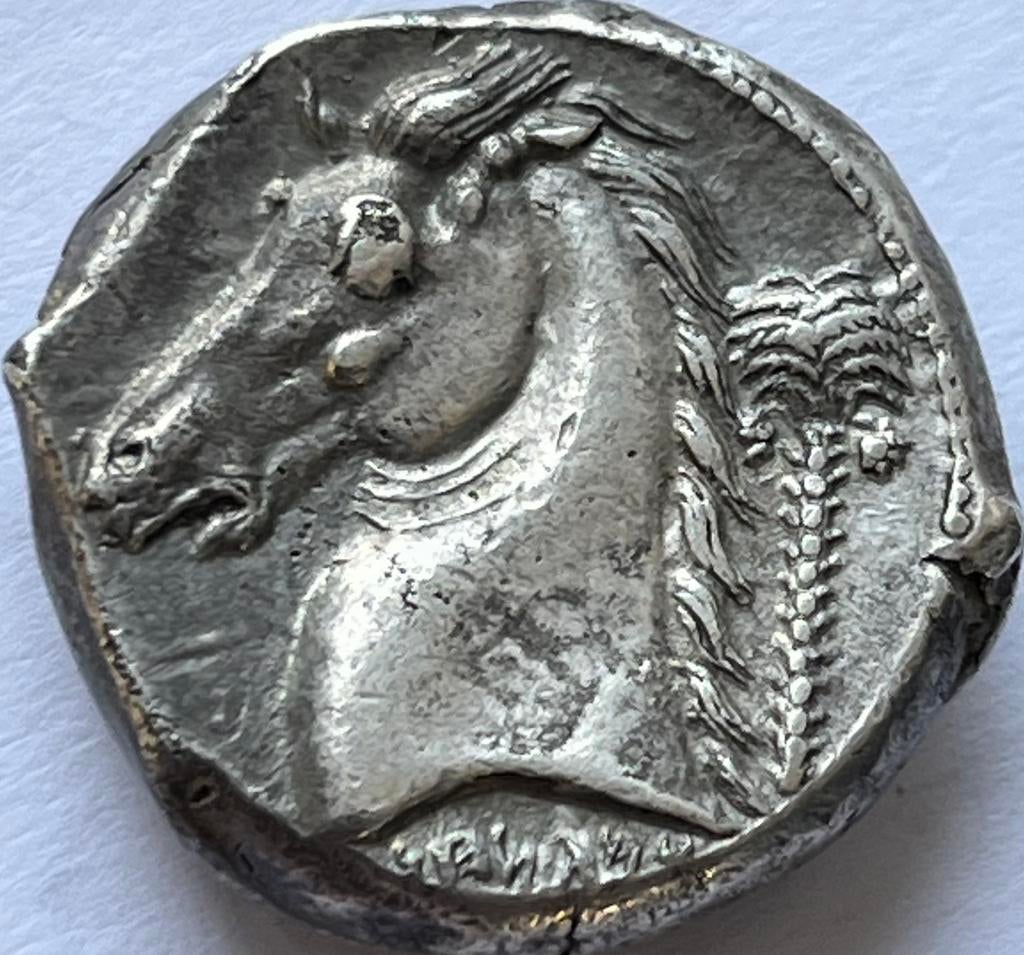 Sikulo Punisch Sicilië zeer zeldzame tetradrachme ZJ, Postzegels en Munten, Munten | Europa | Niet-Euromunten, Ophalen of Verzenden
