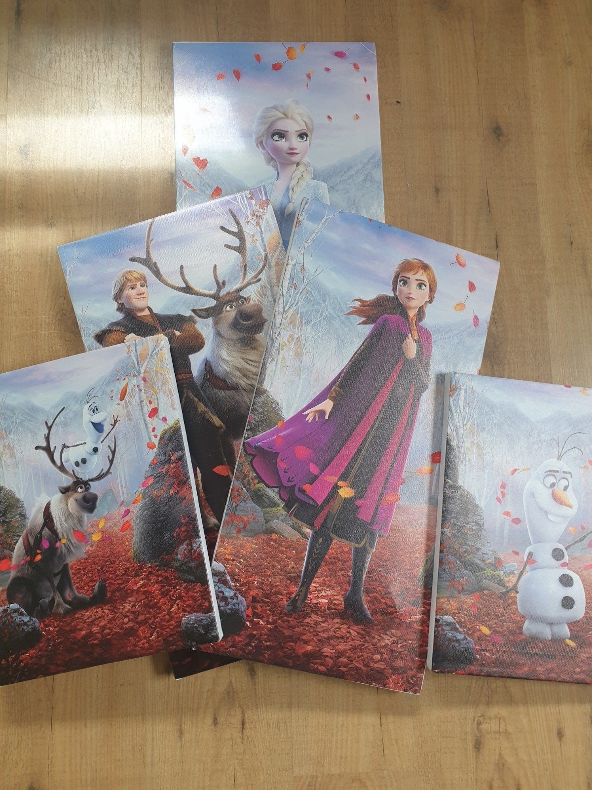 Frozen Canvas - 5 Stuks, Ophalen, 50 – 75, Minder dan 50 cm, Gebruikt