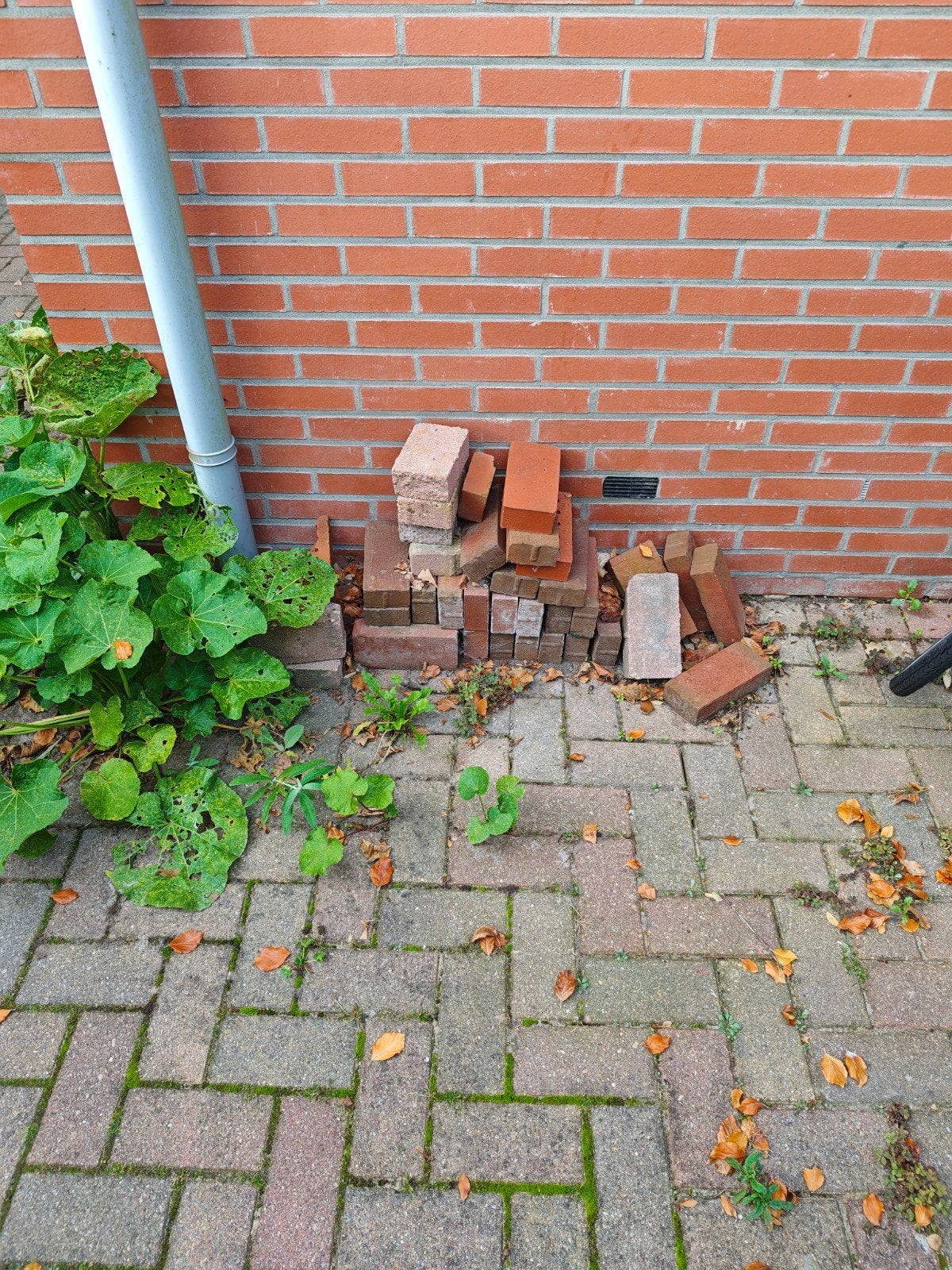 Diverse partij gebruikte bakstenen, Ophalen, Gebruikt, Bakstenen