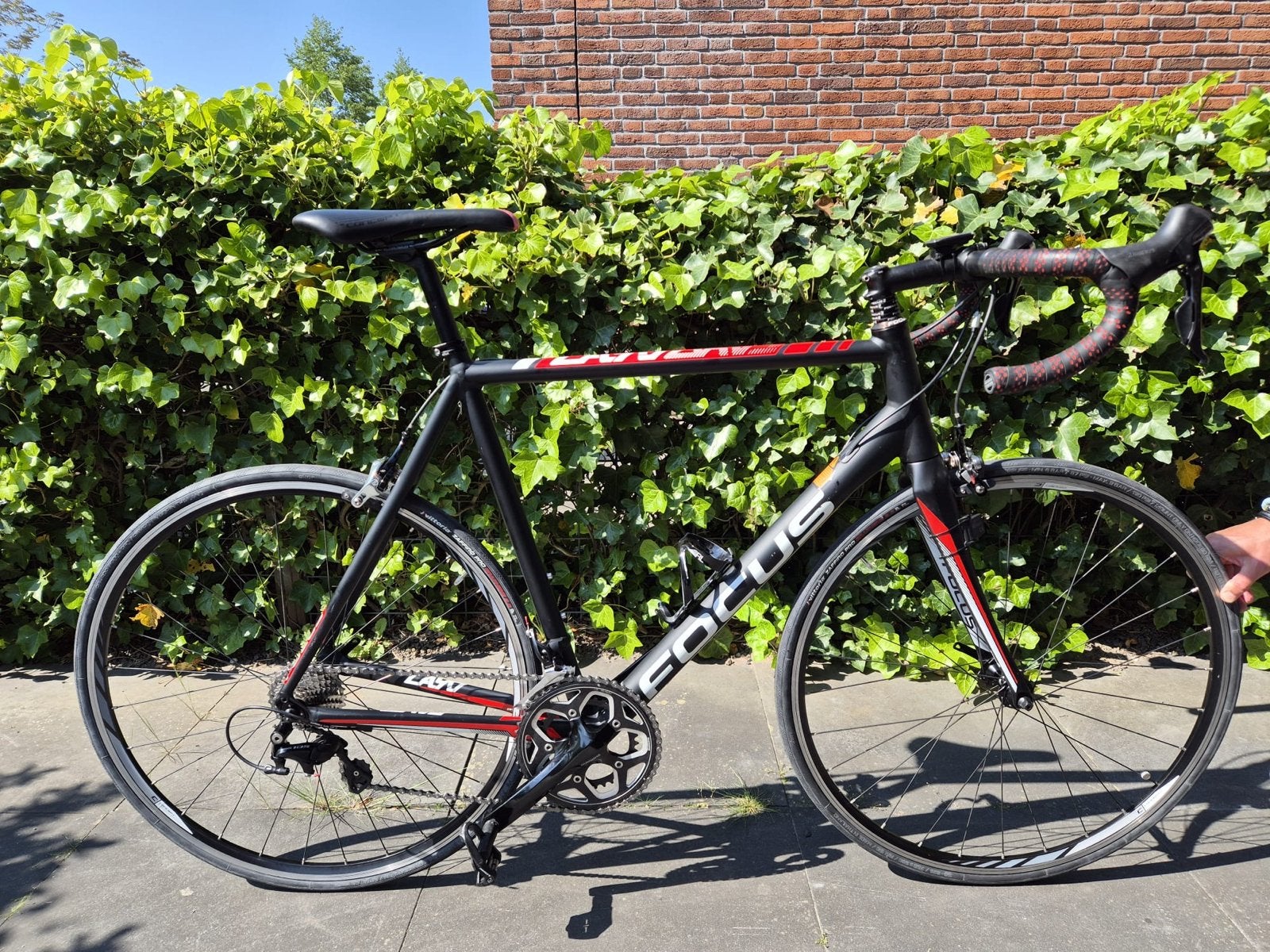 Heren Racefiets Focus Cayo 56 inch - Recent onderhoud gehad!, Gebruikt, Velgrem, Meer dan 20 versnellingen, 53 tot 57 cm