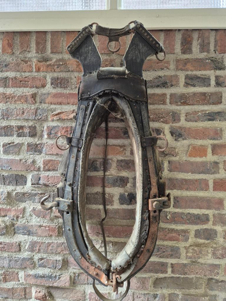 Oude paarden haam, Ophalen, Gebruikt