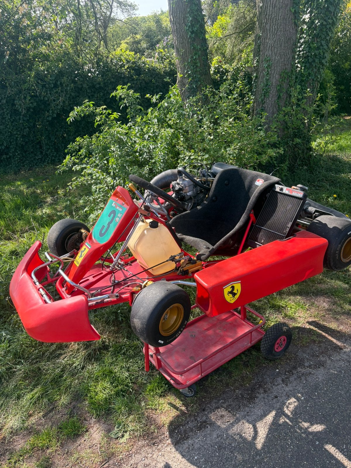 Rotax kart, Ophalen of Verzenden, Gebruikt, Kart