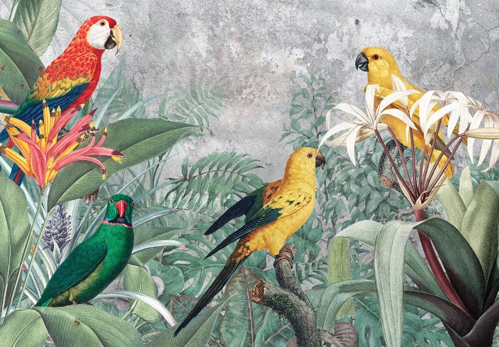 Papegaaien jungle fotobehang, Amazone, Vogels, Muurdeco4kids, Huis en Inrichting, Verzenden