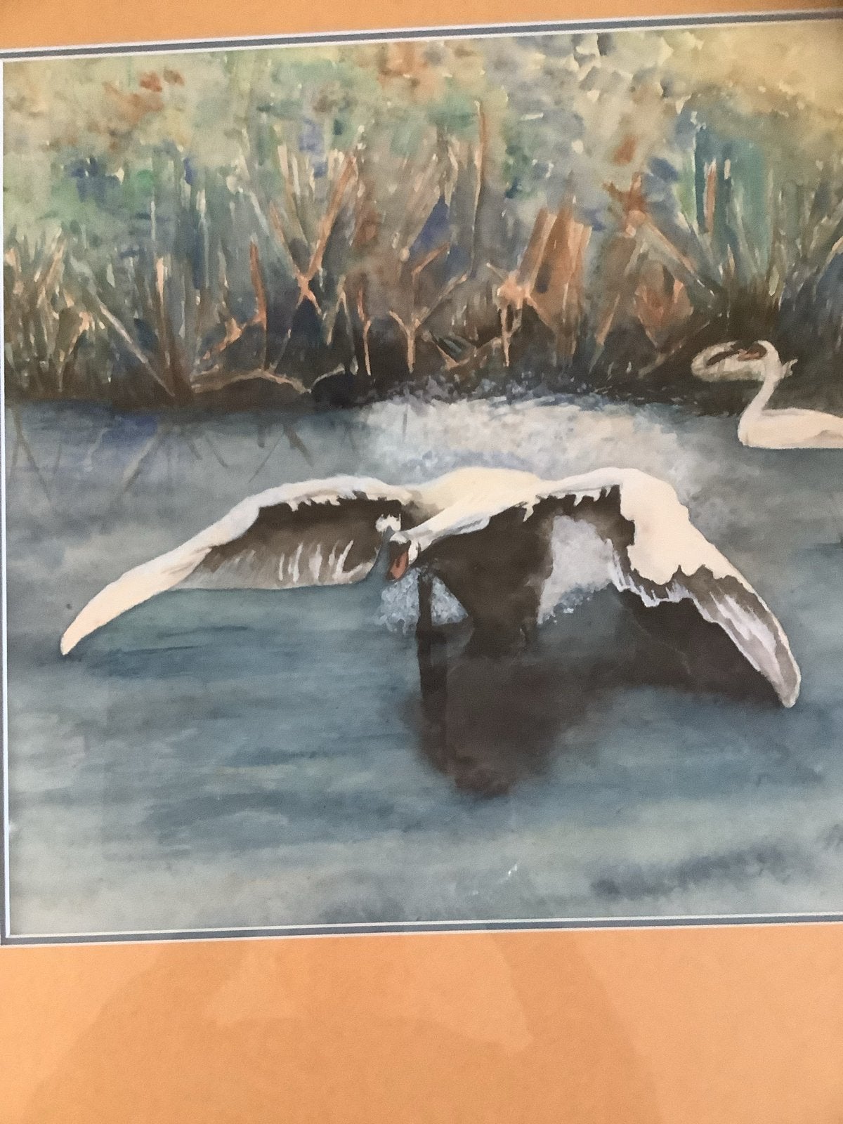Ingelijste afbeelding met zwanen - M. Bax, Ophalen, Realistisch, Dieren, Aquarel