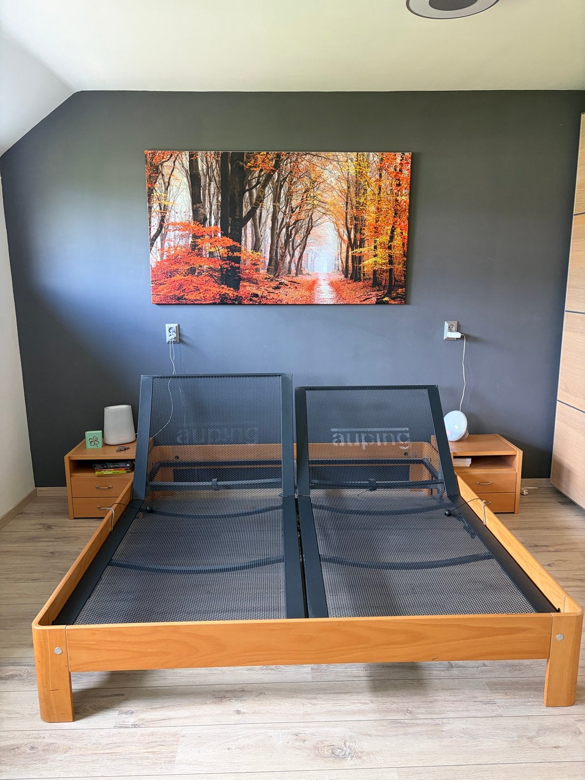 Auping bed hand verstelbaar 180x200 met lattenbodems, Ophalen, Tweepersoons, 180 cm, Hout