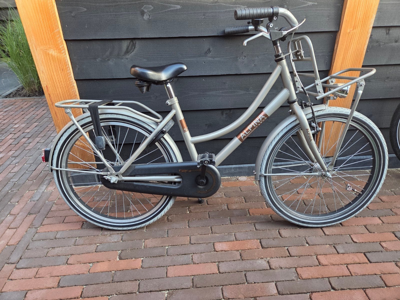 Nette Alpina Cargo 22 inch meisjesfiets, Ophalen, Gebruikt, 22 inch